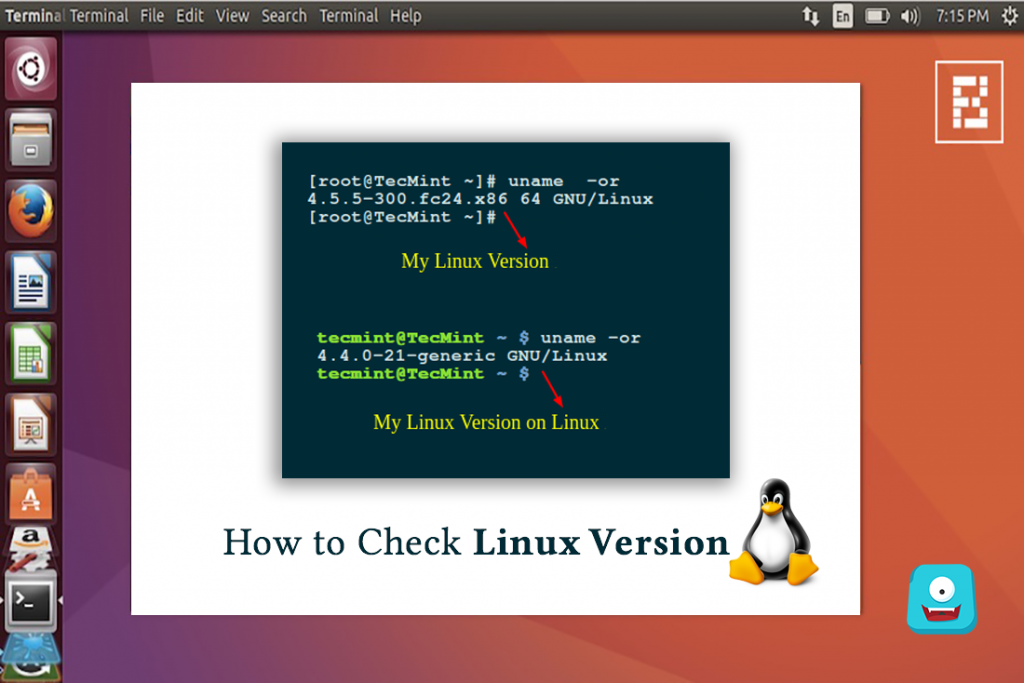 how to check linux kernel version